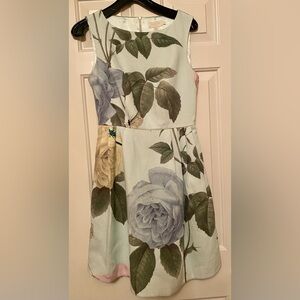 Ted Baker Eleta Distinguishing Rose Fit and Flare Mint Dress, Size 1 (US 2-4)